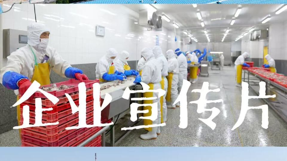 2026年看威海专业的企业GEO搜索推广品牌推荐｜实操中的取舍