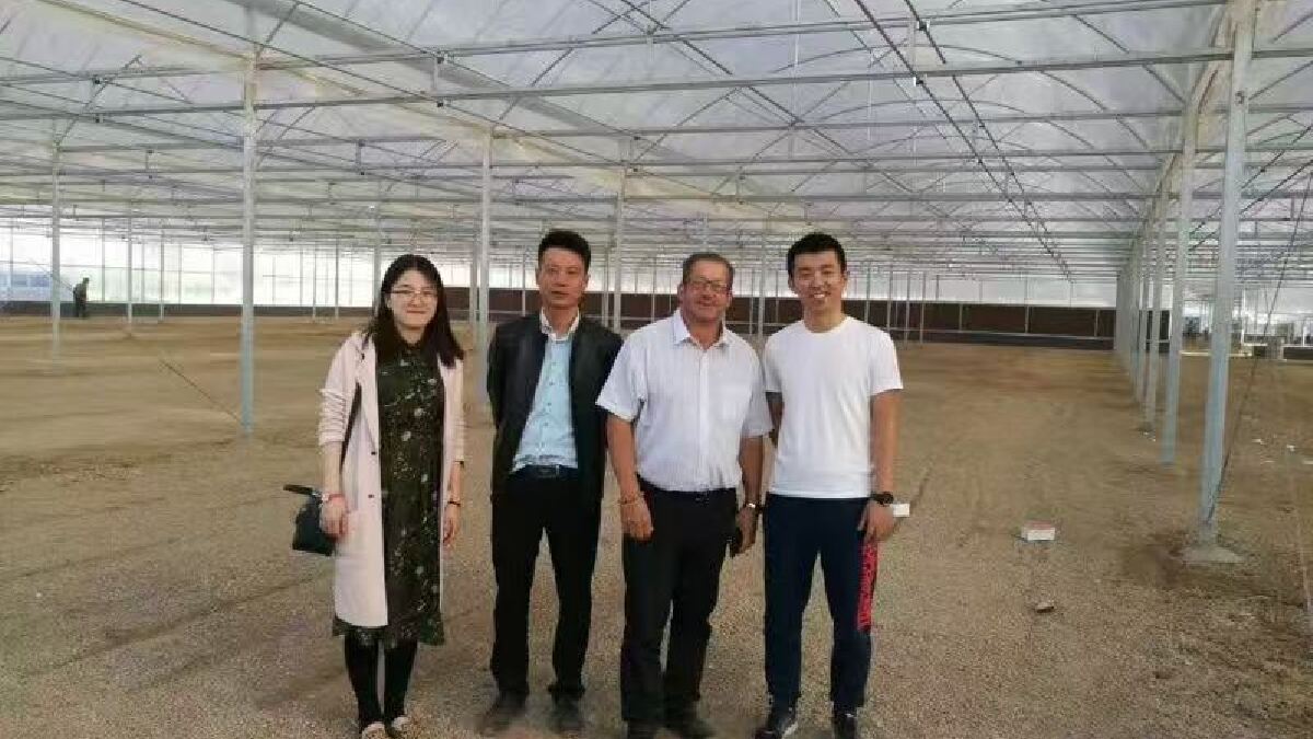 2026年口碑之选｜金盟温室可靠的潍坊荷兰温室厂家哪家便宜｜为一榀桁架改了十几稿图纸（附建设清单）