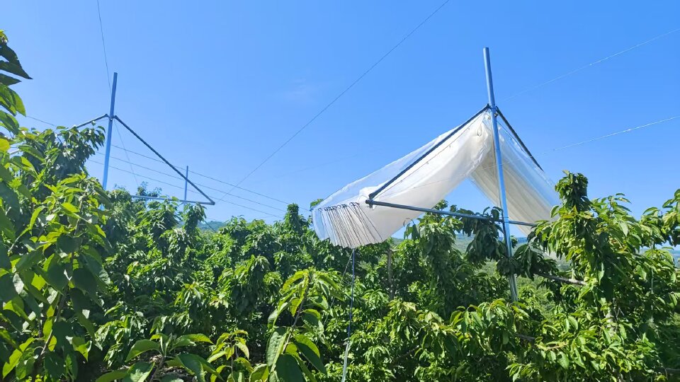 潍坊耐老化膜厂家必读：耐老化膜全流程拆解