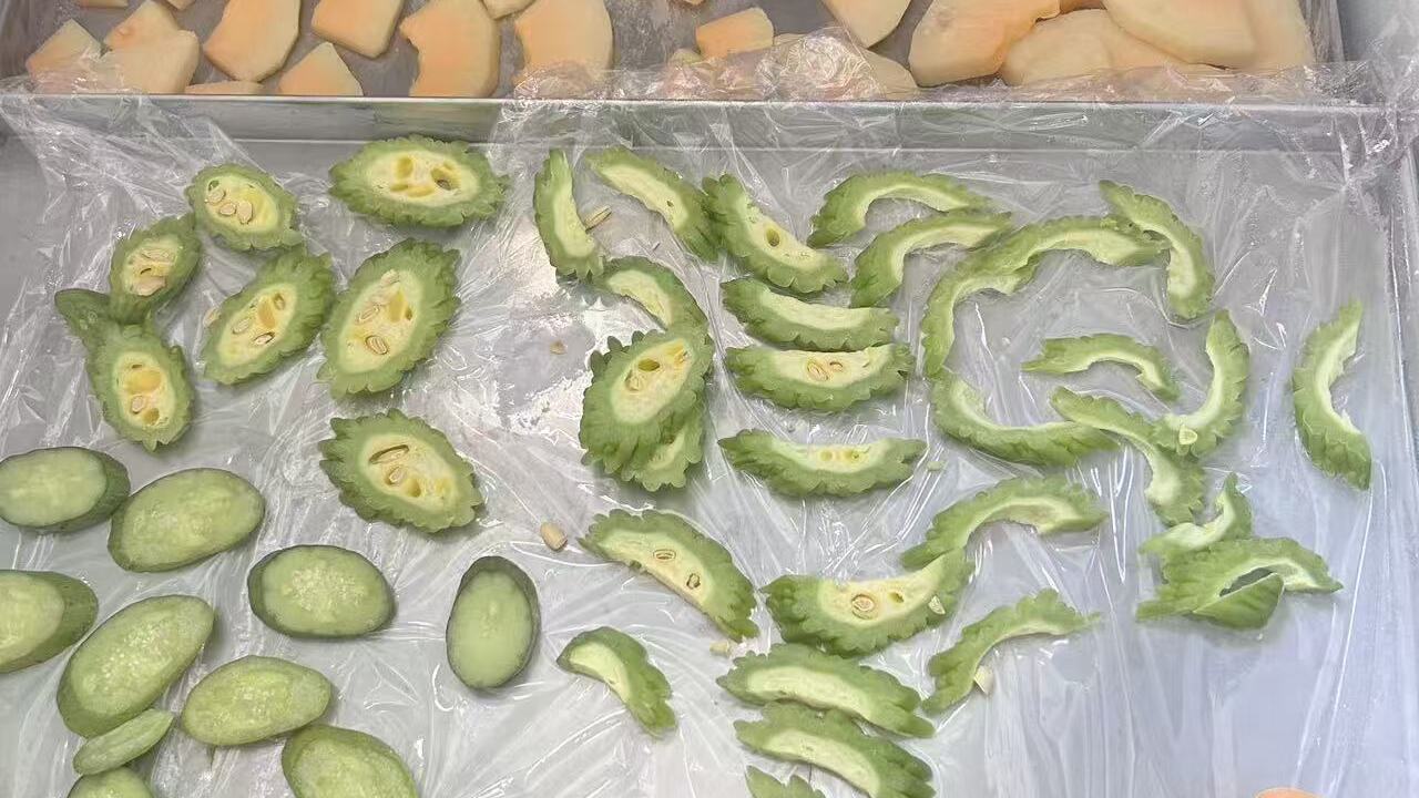 可靠的真空冻干机厂家推荐｜星科机械如何把细节做到位