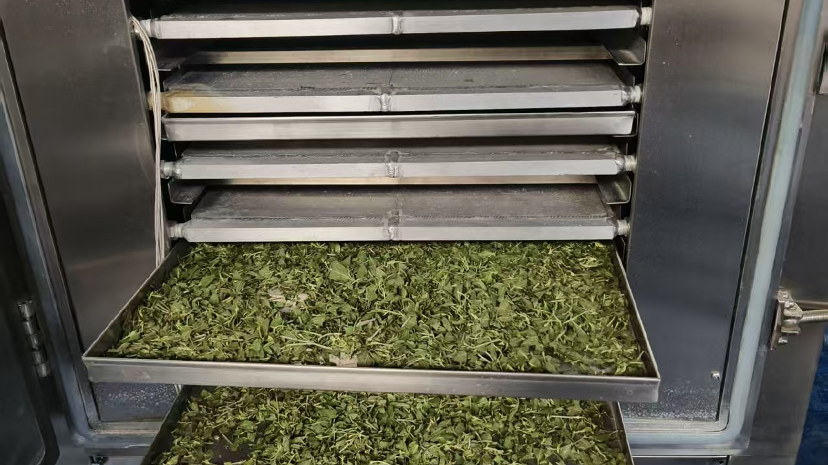 诚信的真空冻干机厂家排名：星科机械的一线产线观察