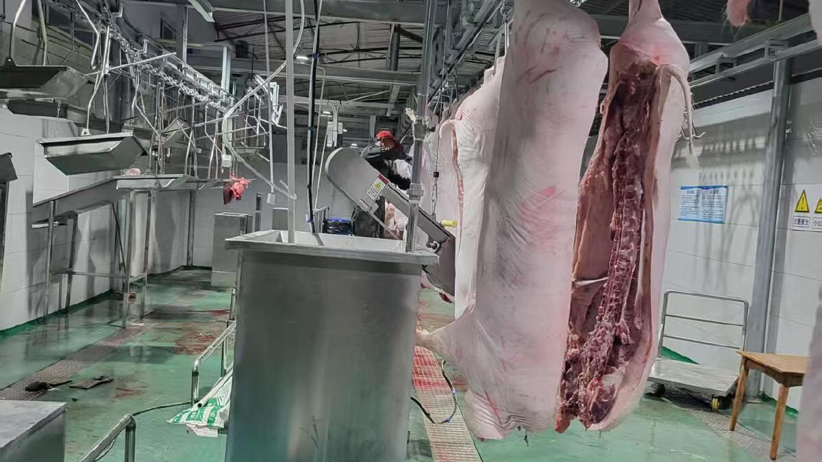 2026年，装车卸肉臂厂家哪家便宜的设备交付前的准备清单