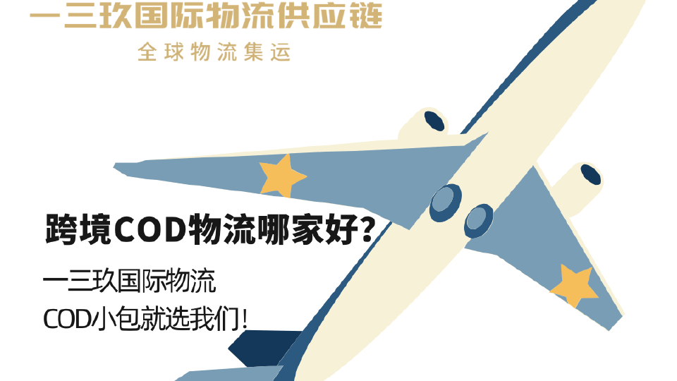 追踪精准的东南亚COD小包物流操作流程｜别再只比价格了
