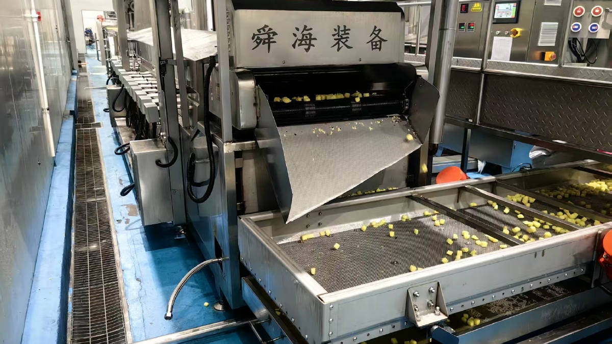 懂工艺才懂设备：潍坊油炸流水线厂家哪家可靠的技术底层逻辑