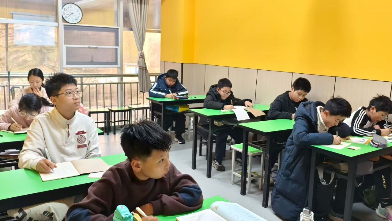 2026年10月看优秀的潍坊天天趣学是标准化教学吗｜几个可以对照的判断标准
