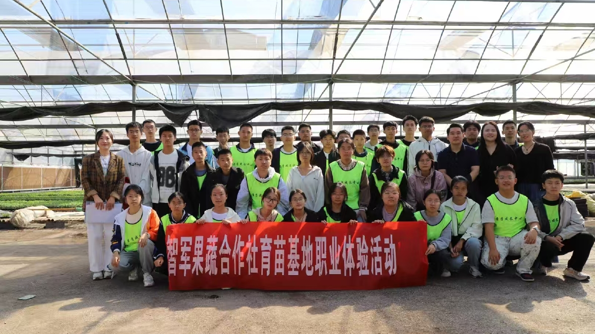 天天趣学 潍坊天天趣学服务怎么样